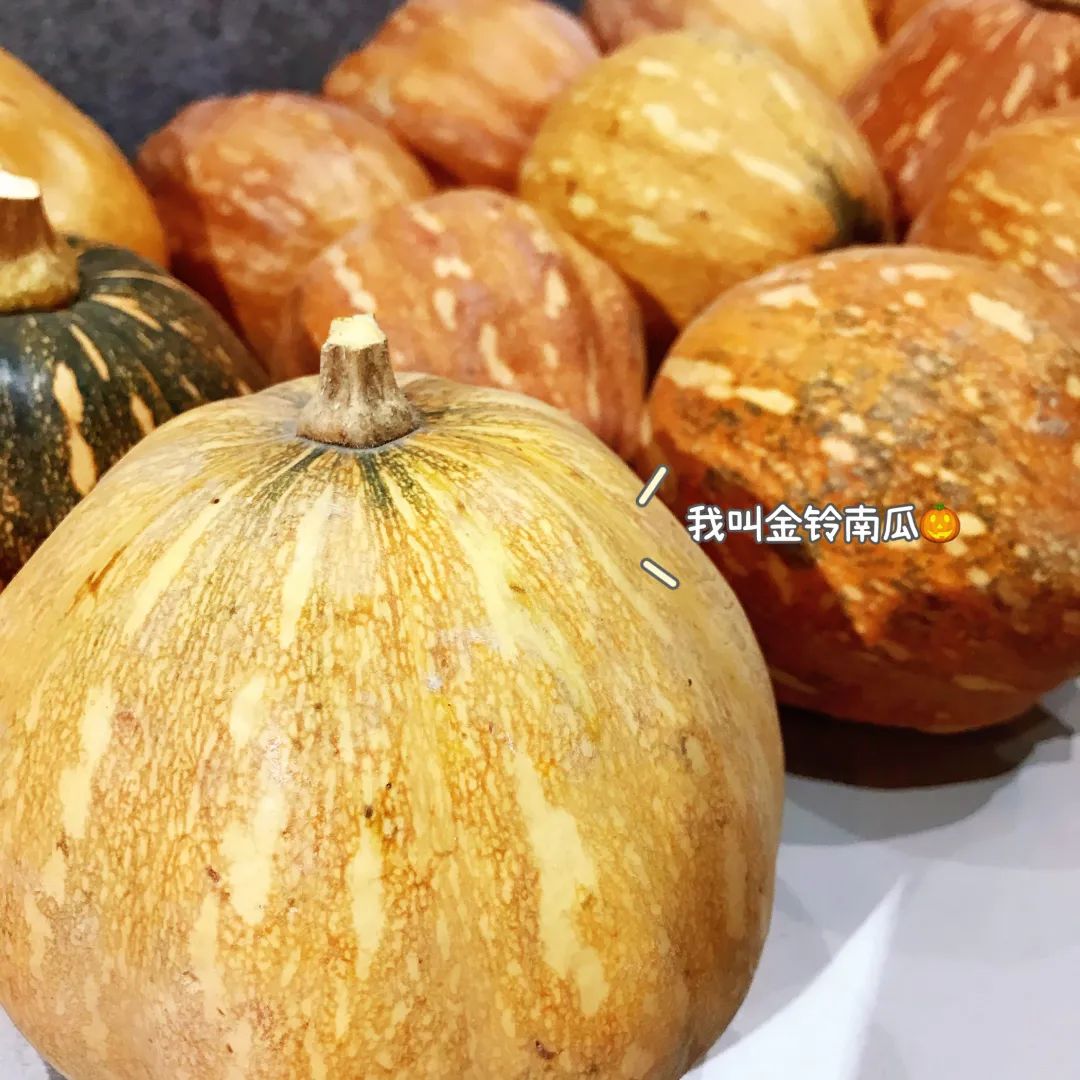 花城控股集團 花城控股集團