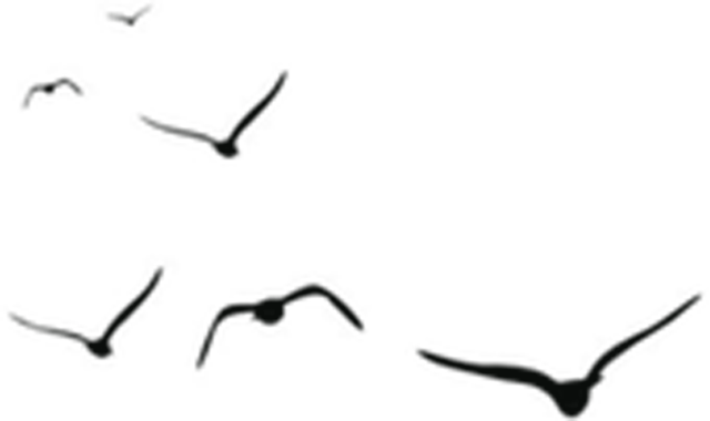 花城控股集團 花城控股集團