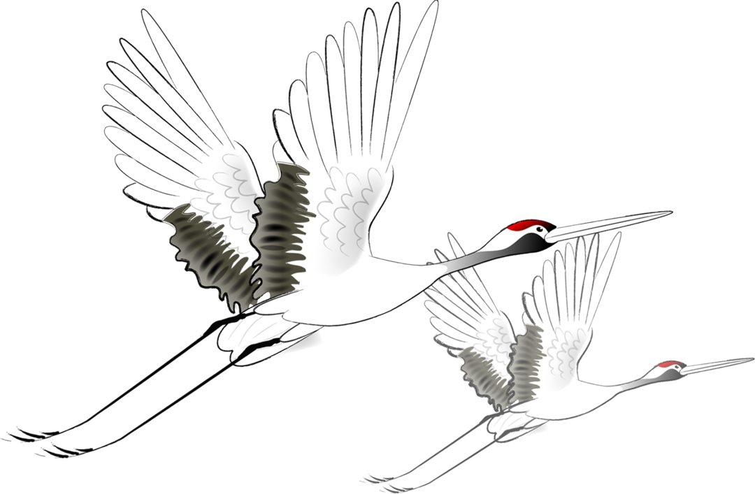 花城控股集團 花城控股集團