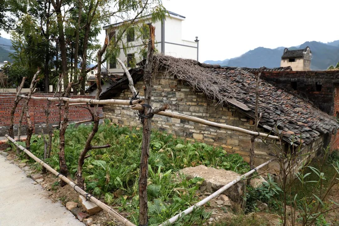 花城控股集團(tuán) 花城控股集團(tuán)