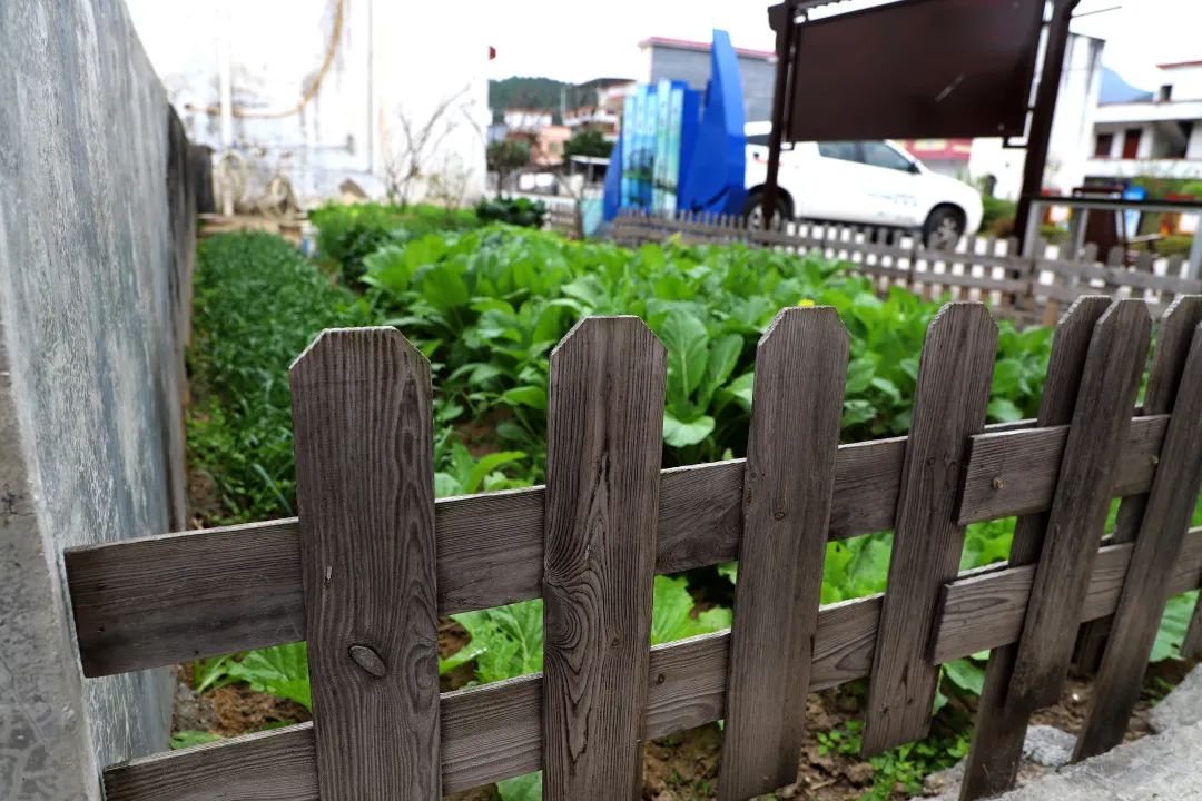 花城控股集團(tuán) 花城控股集團(tuán)