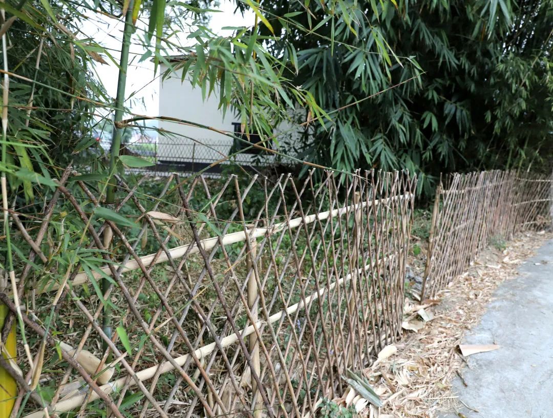 花城控股集團(tuán) 花城控股集團(tuán)