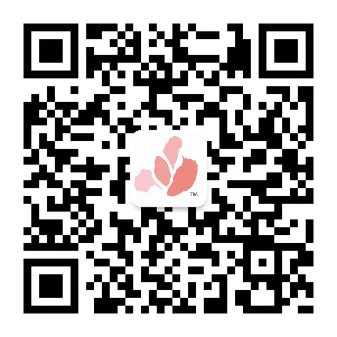 花城控股集團 花城控股集團