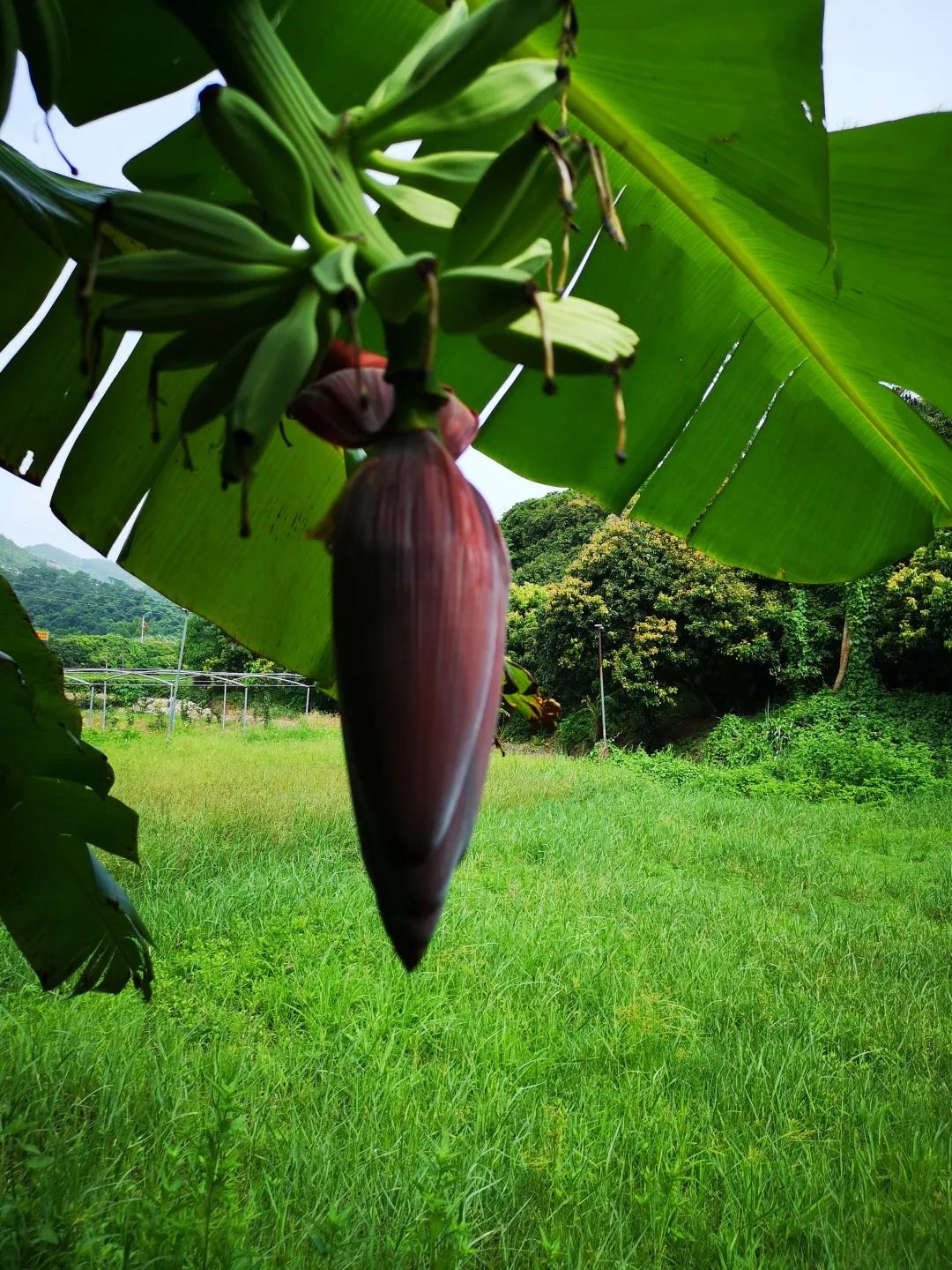 廣州寫字樓招商花城創意產業園 廣州寫字樓招商花城創意產業園